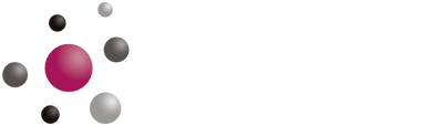 The image shows the V-Dem Logo