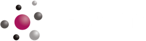 V-Dem Logo