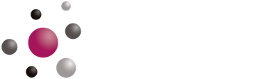 The image shows the V-Dem Logo